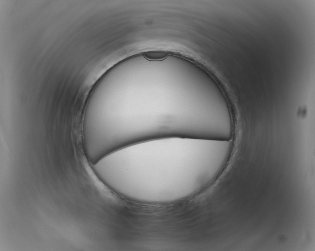 X0000115621521200911101044
