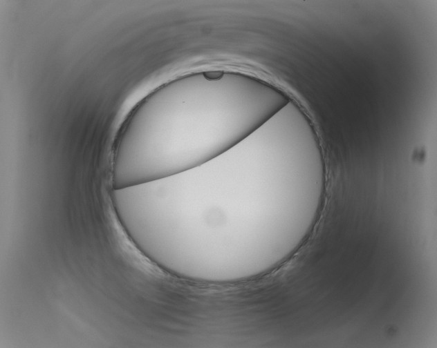 X0000115621522200911101044