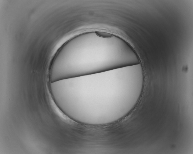 X0000115621523200911101044