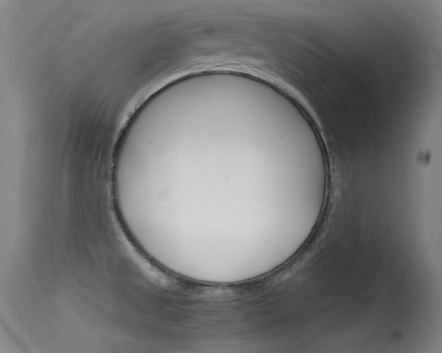 X0000115621525200911101044