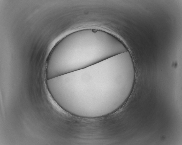 X0000115621526200911101044