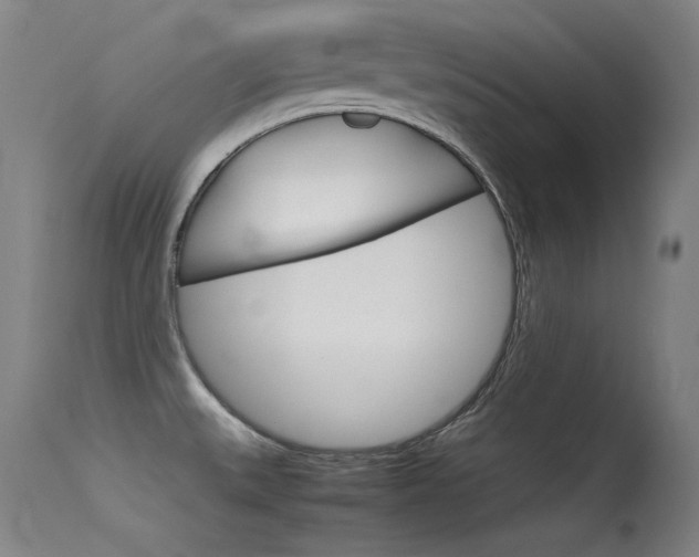 X0000115621527200911101044