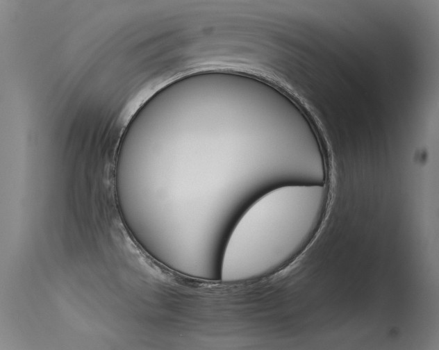 X0000115621529200911101045