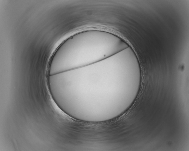 X0000115621531200911101045