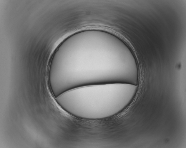 X0000115621533200911101045