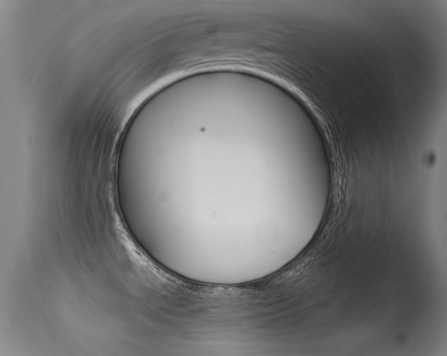 X0000115621534200911101045