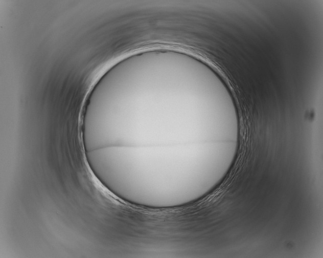 X0000115621535200911101045
