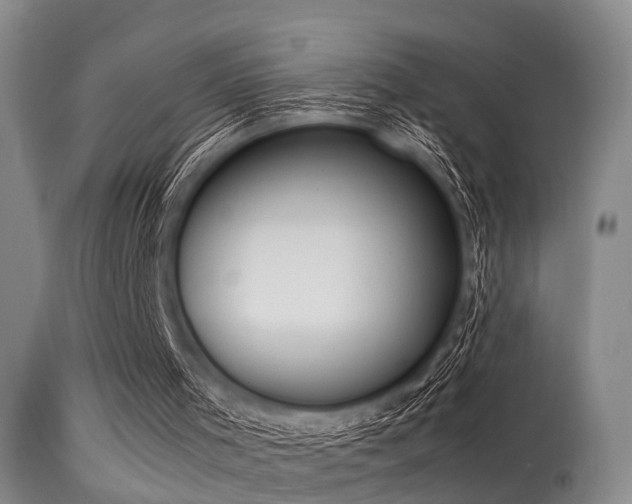 X0000115620001200911101425