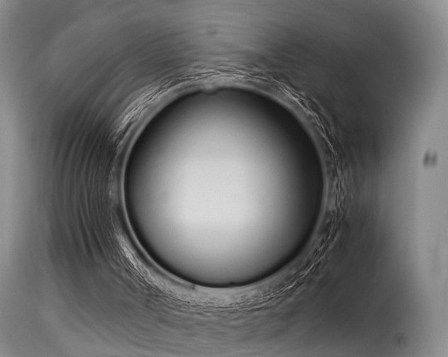 X0000115620002200911101425