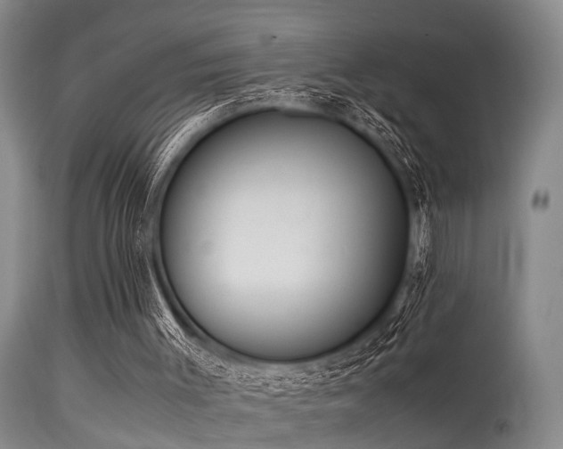 X0000115620003200911101425