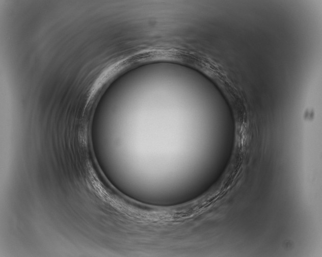 X0000115620004200911101425