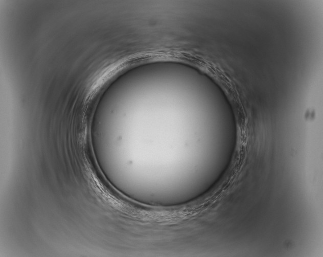 X0000115620005200911101425