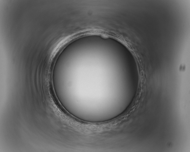 X0000115620007200911101425