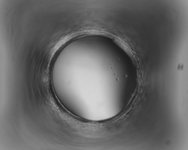 X0000115620008200911101425