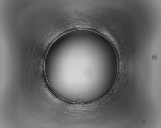 X0000115620009200911101425