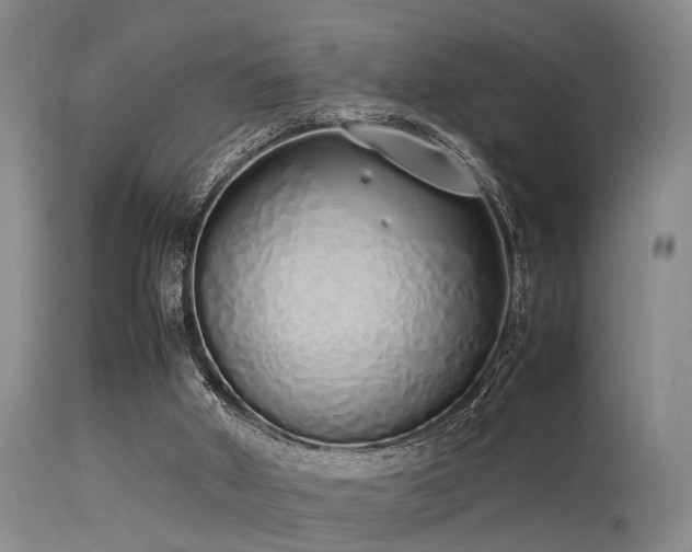 X0000115620010200911101425