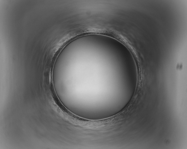 X0000115620011200911101425