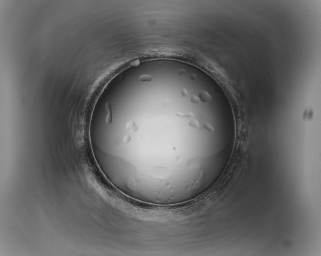 X0000115620012200911101425