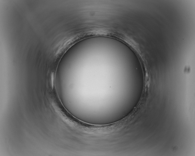 X0000115620013200911101425