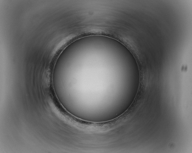 X0000115620016200911101425