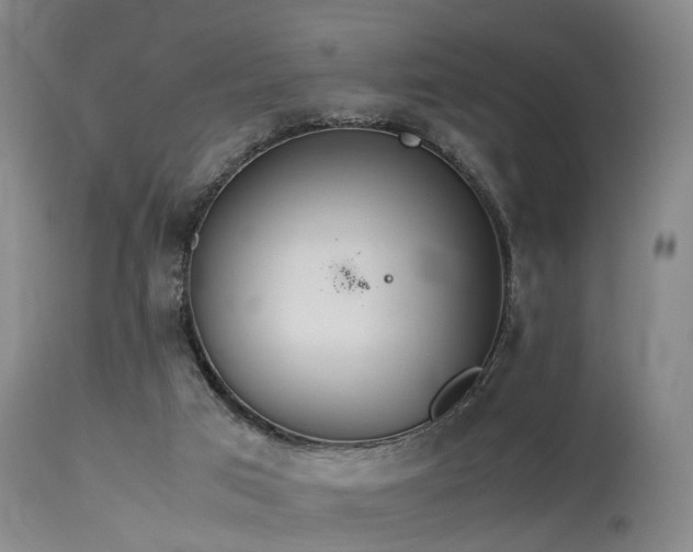 X0000115620017200911101425