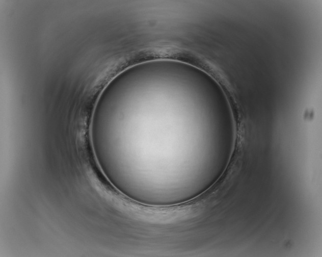 X0000115620018200911101425