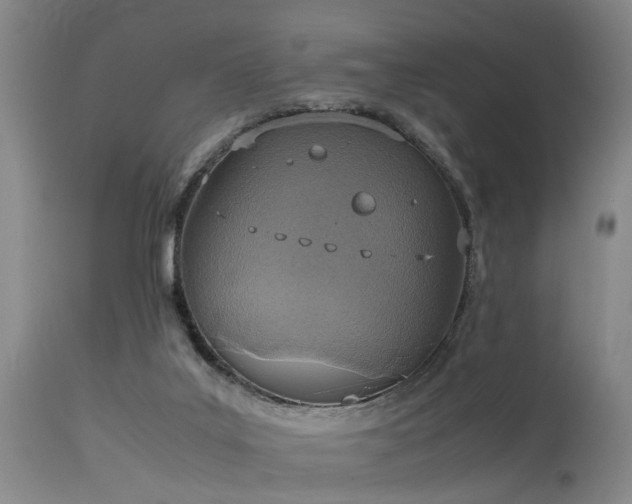 X0000115620019200911101425