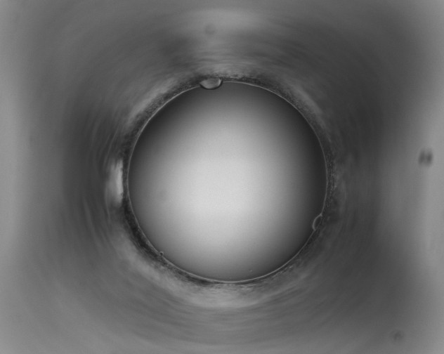 X0000115620020200911101425