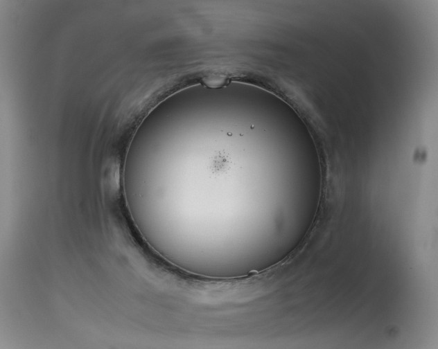 X0000115620021200911101425