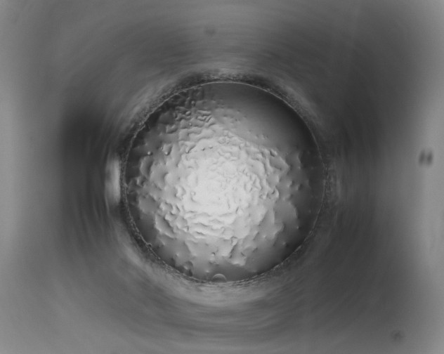 X0000115620022200911101425