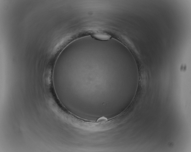 X0000115620023200911101425