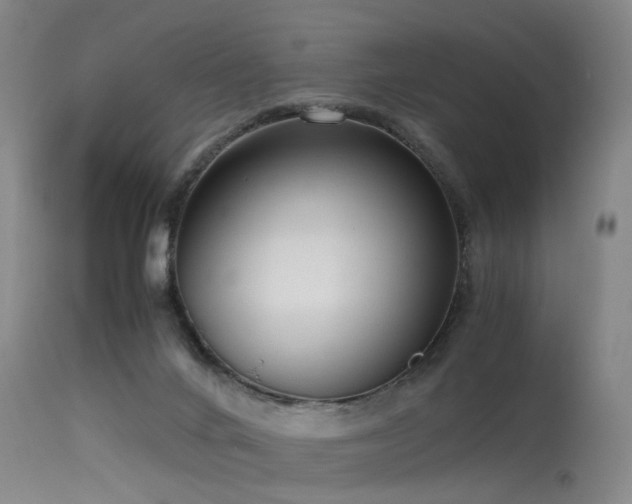 X0000115620024200911101425