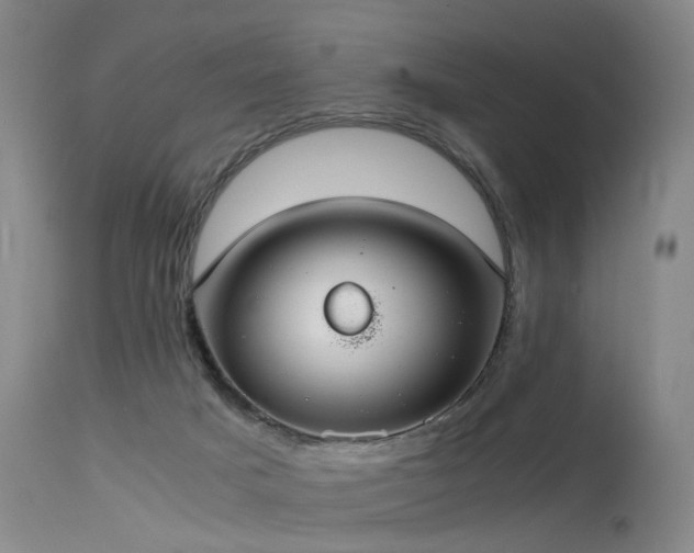 X0000115620025200911101425