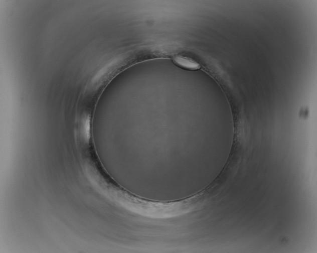 X0000115620027200911101425