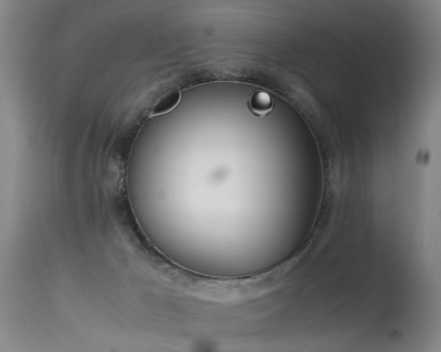 X0000115620029200911101425