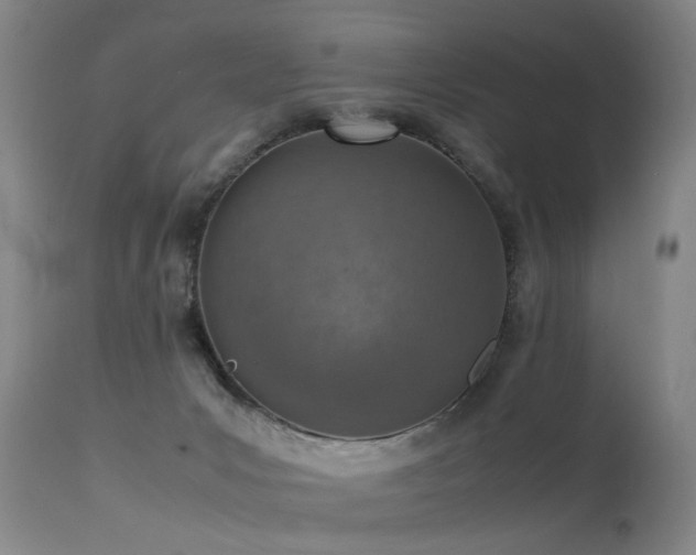 X0000115620031200911101425