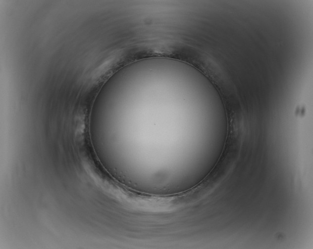 X0000115620032200911101425