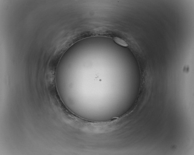 X0000115620033200911101425