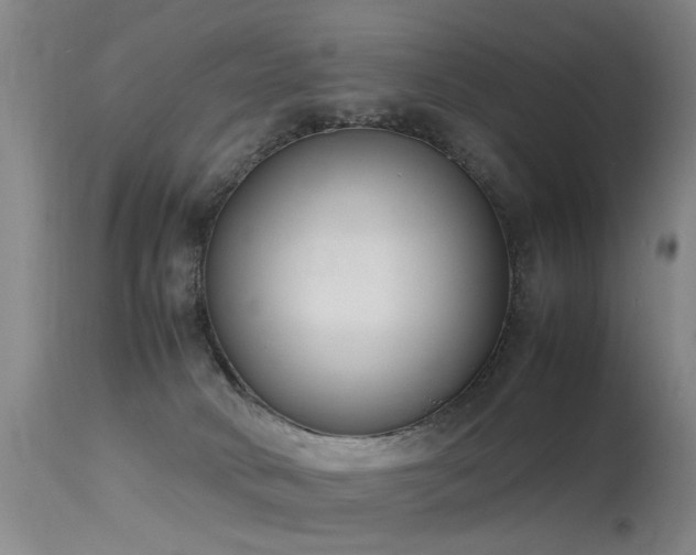 X0000115620034200911101425