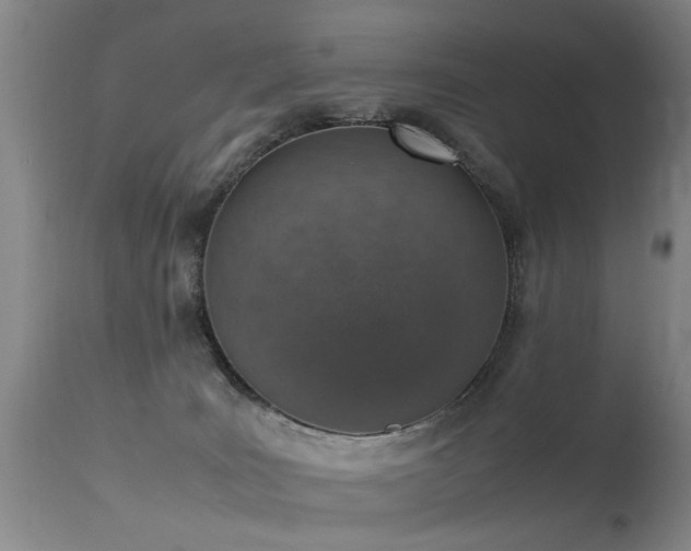 X0000115620035200911101425