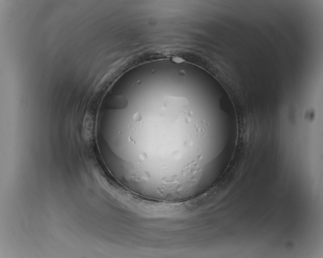 X0000115620036200911101425