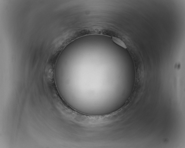 X0000115620037200911101425