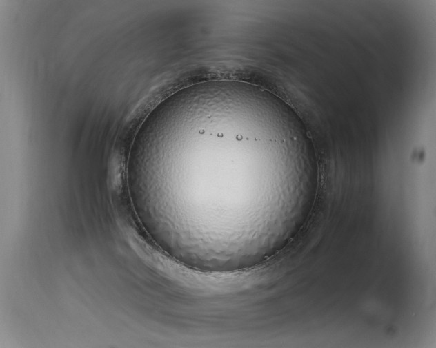 X0000115620038200911101425