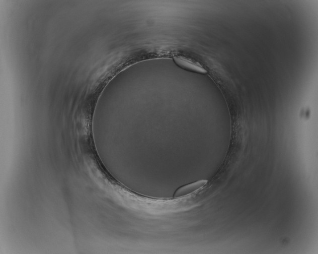 X0000115620039200911101425