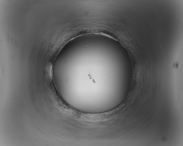 X0000115620041200911101425