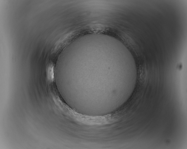 X0000115620042200911101425