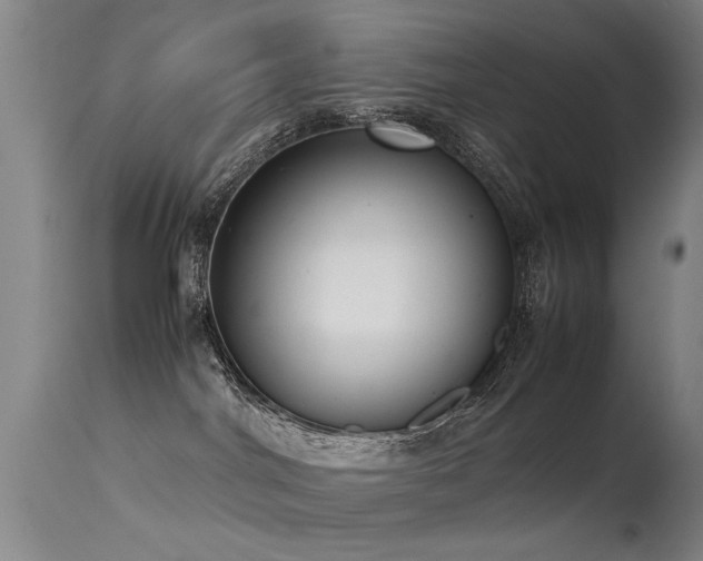 X0000115620044200911101425