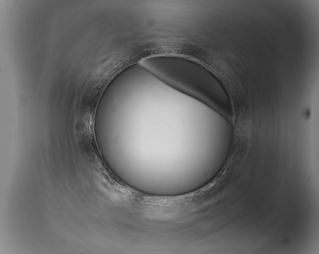 X0000115620045200911101425