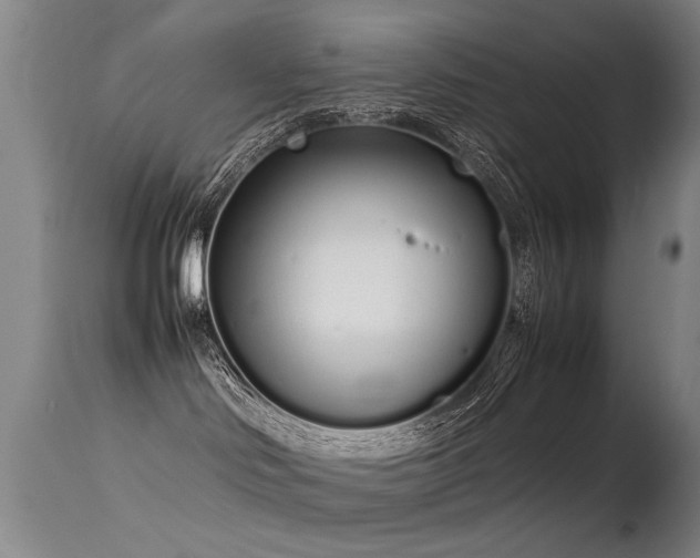 X0000115620046200911101425