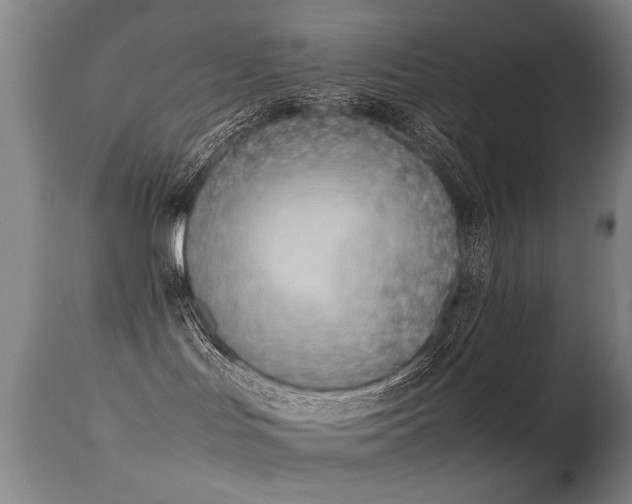 X0000115620047200911101425